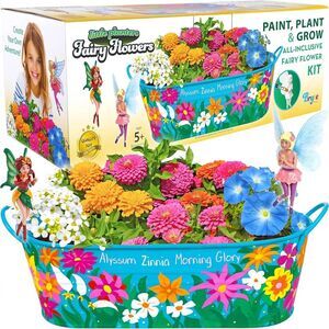 Bryte Fairy Garden Paint, Plant & Grow Fairy Flower Kit